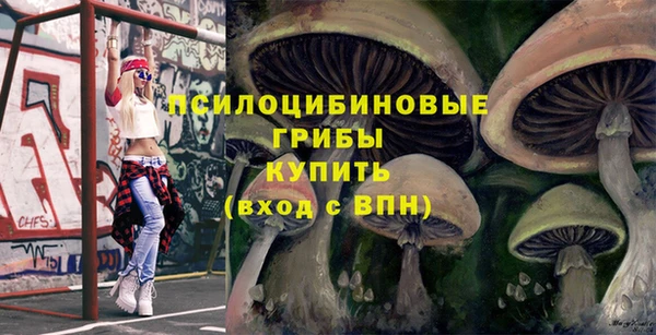 соль ск Кодинск