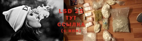 сатива Лабытнанги