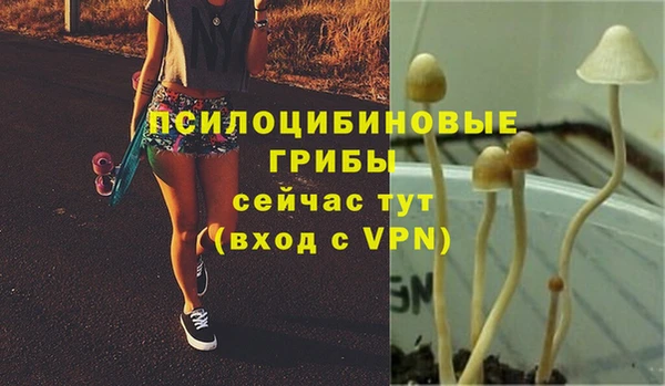 соль ск Кодинск