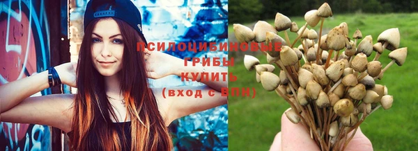 винт Козельск