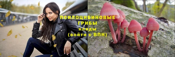 винт Козельск