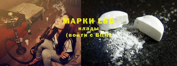 сатива Лабытнанги