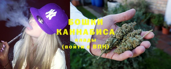 соль ск Кодинск