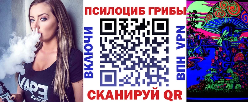 Купить закладки Дальнереченск Галлюциногенные грибы мухоморы