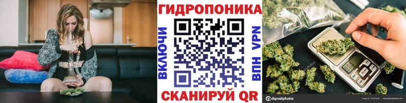 Купить  Дальнереченск  Шишки марихуана сатива 